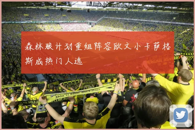 森林狼计划重组阵容欧文小卡萨格斯成热门人选